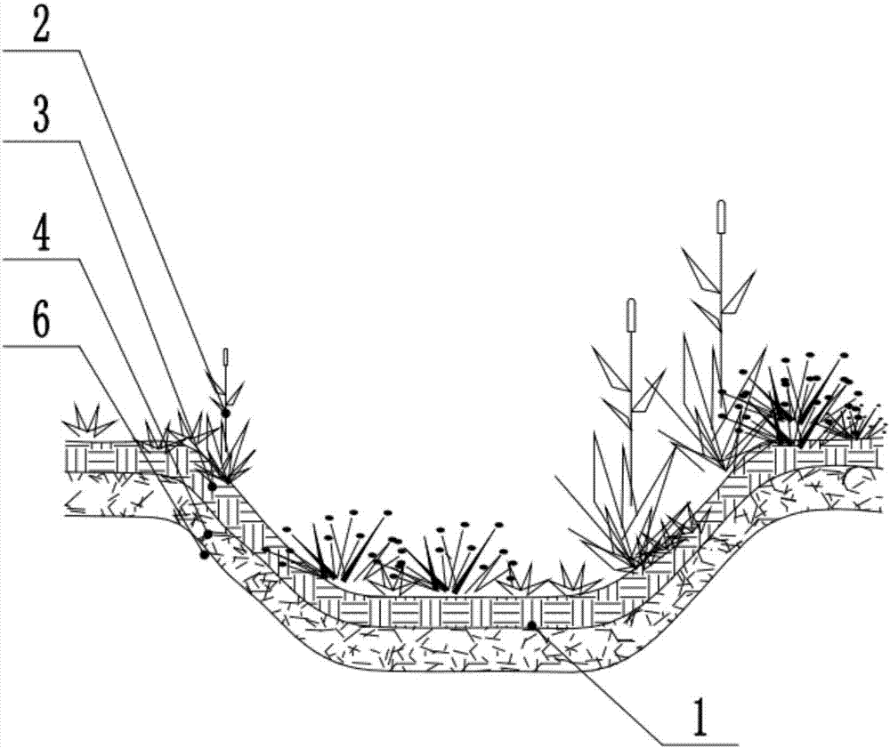 一种带净化功能的植草沟系统的制作方法