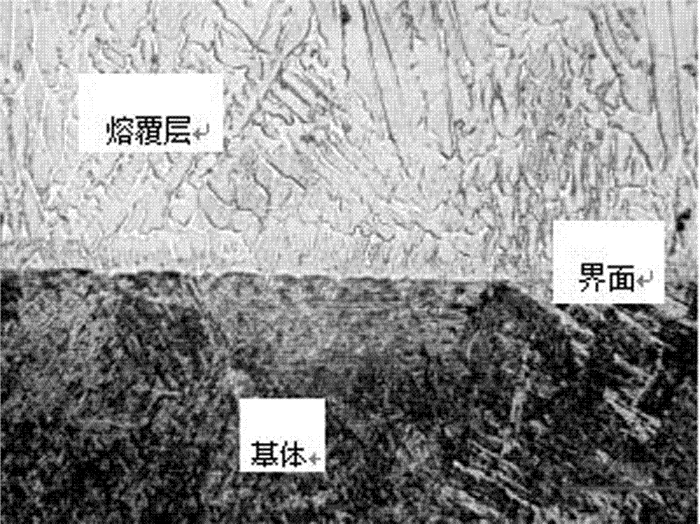 一种等离子3D打印装置和方法及其在特种耐磨材料修复中的应用与流程