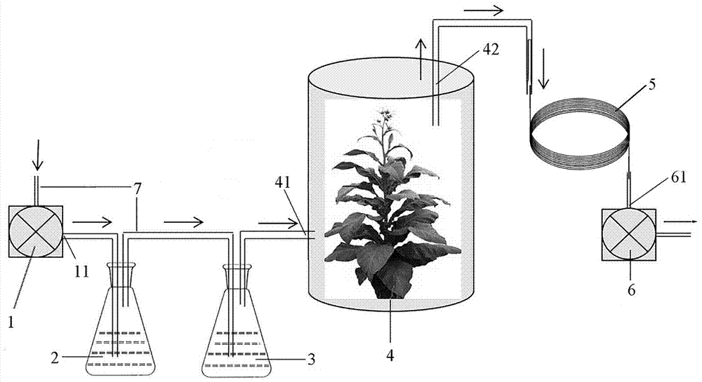 一种植物叶面挥发物的收集方法和装置与流程