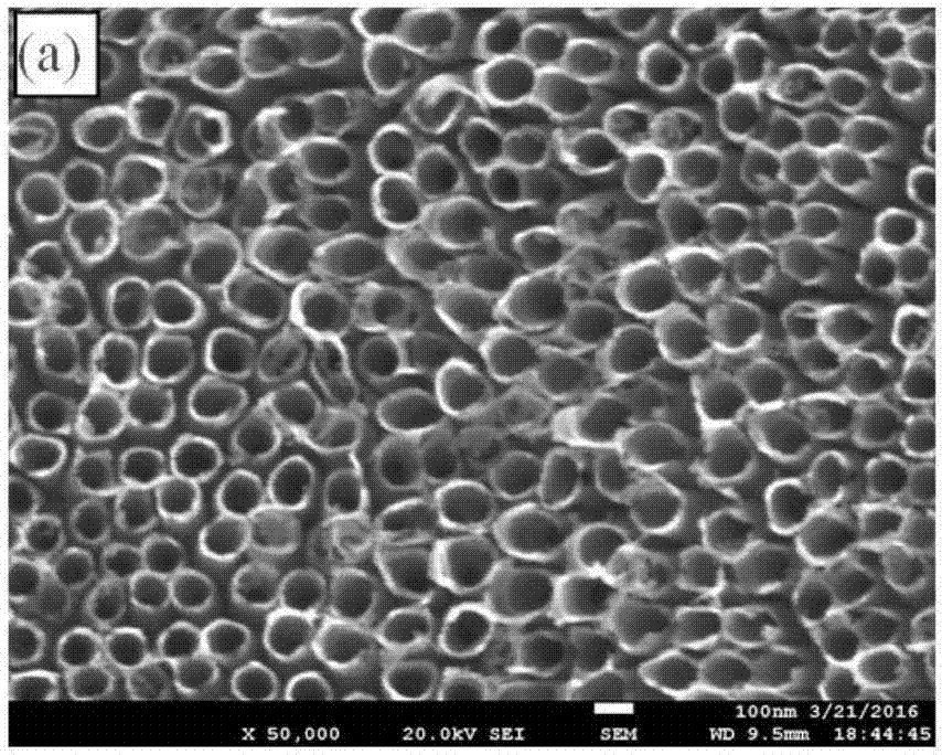 一种钯修饰二氧化钛纳米管阵列肖特基结氢敏传感器及其制备方法与流程