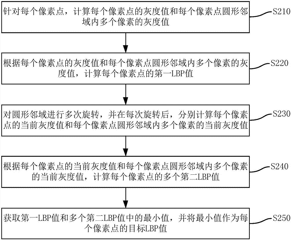 植物叶片的特征提取方法、识别方法、装置和计算机设备与流程