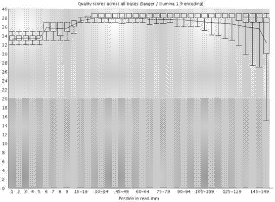 一种构建果蝇miRNA测序文库进行高通量测序的方法与流程
