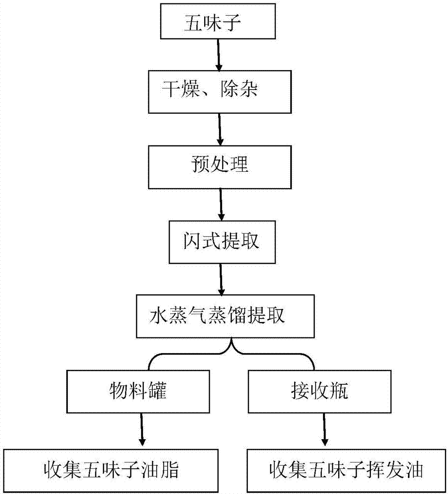 一种五味子油的提取方法与流程