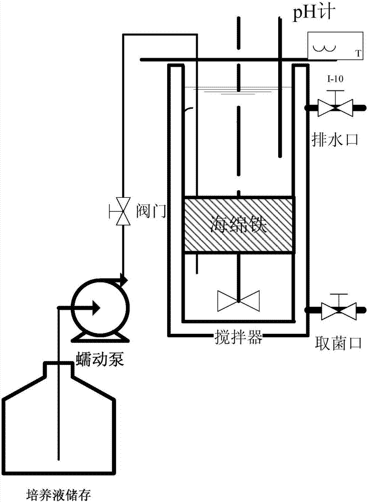 一种基于海绵铁-氨氧化微生物系统同步去除抗炎药与氨氮的方法与流程