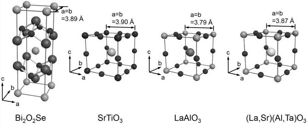 一种高质量晶圆级硒氧化铋半导体单晶薄膜的批量化制备方法与流程