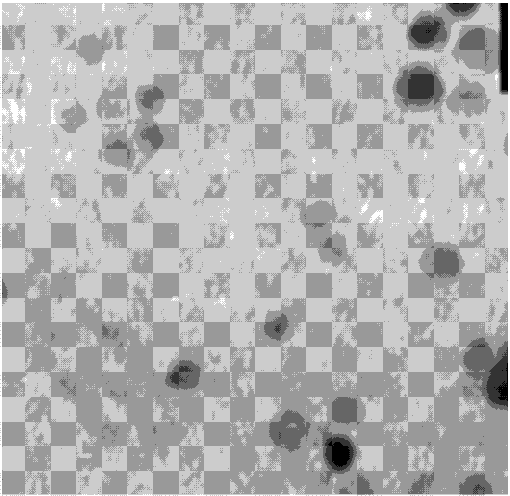 一种NT-3转染BMSCs纳米微球控释体的制备方法及其应用与流程