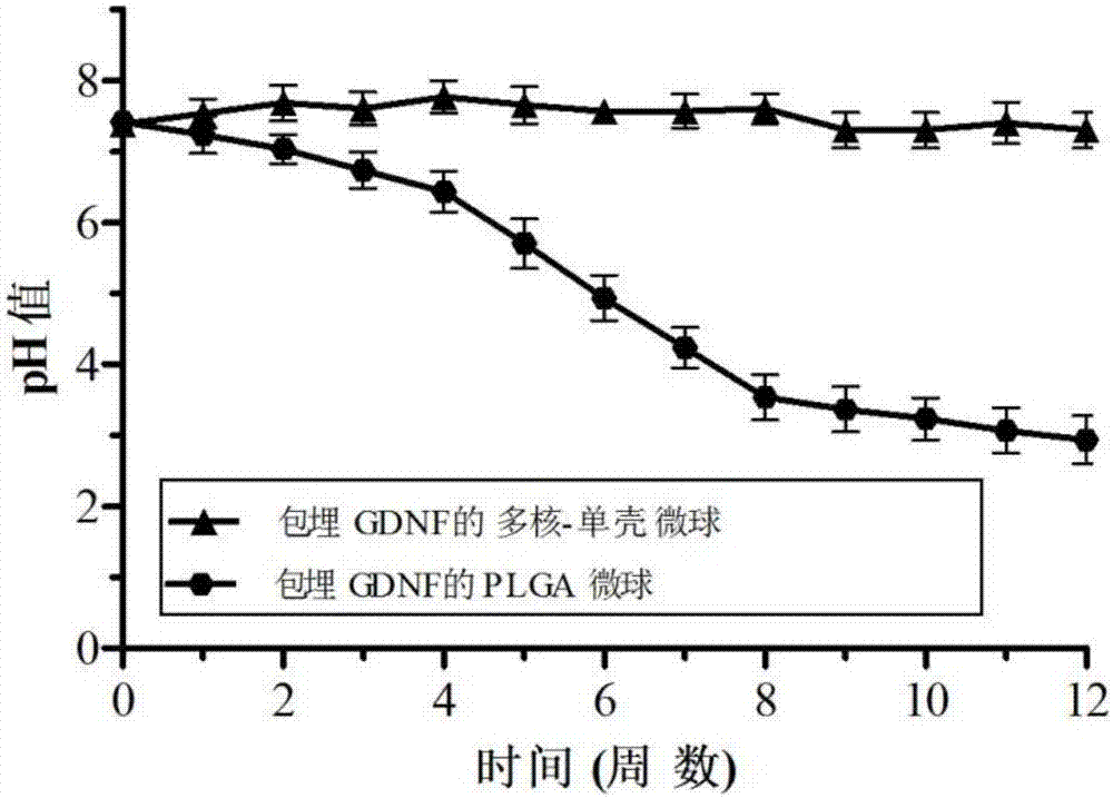 包埋GDNF的多核-单壳微球缓释系统的制备方法与流程