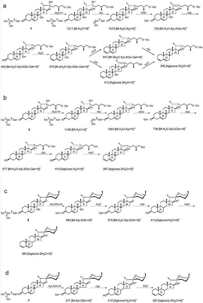 甾体皂苷类化合物及其制备方法与应用与流程