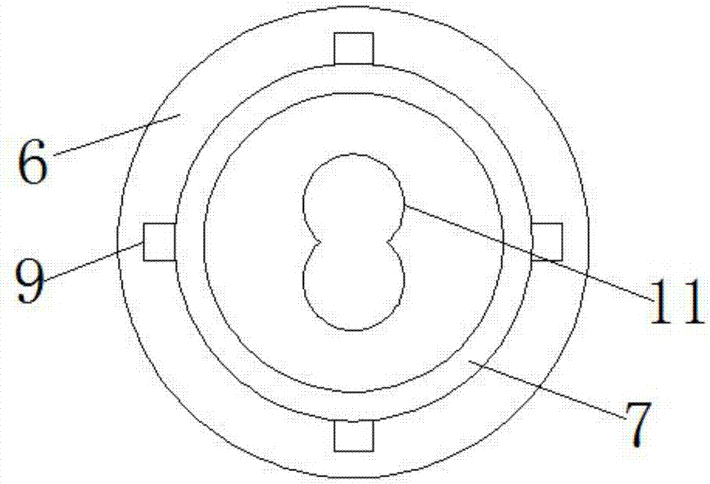 一种带固定装置的双螺杆挤出机的制作方法