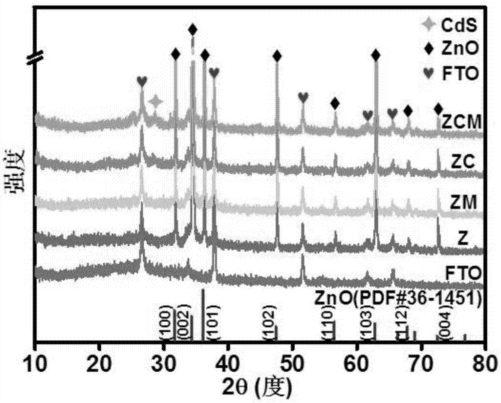 一维氧化锌/硫化镉/二硫化钼纳米阵列光催化复合材料及其制备方法与应用与流程