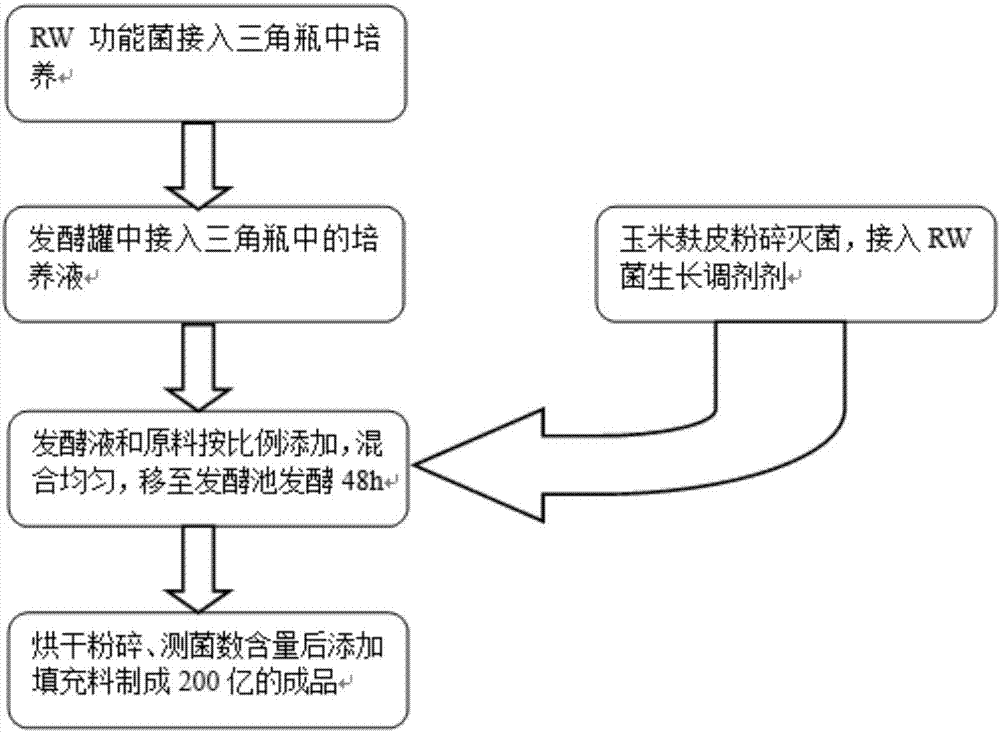 一种RW生物有机肥功能菌剂及其制作方法和应用与流程