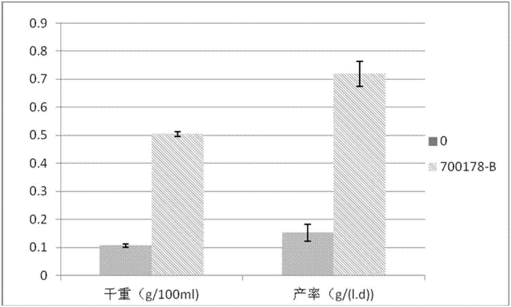 一株细菌纤维素生产菌株及其构建方法与应用与流程