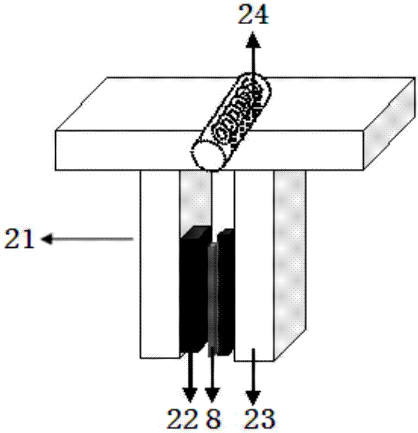 一种用于测定叶片横截面叶绿素荧光的叶室的制作方法