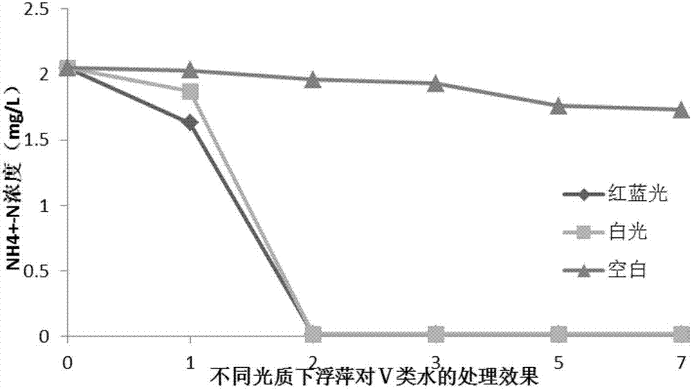 一种利用优质光源促进浮萍快速净化微污染地表水的方法与流程