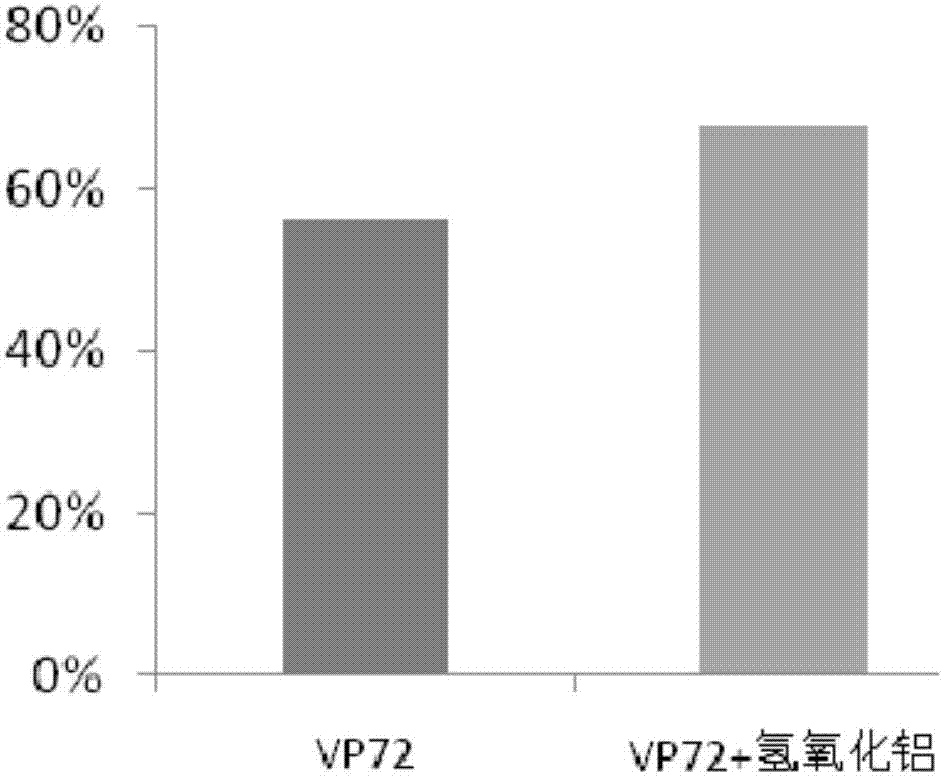 一种石斑鱼虹彩病毒的亚单位疫苗及其制备方法和应用与流程