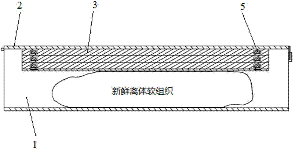 一种新鲜离体软组织的扫描盒的制作方法