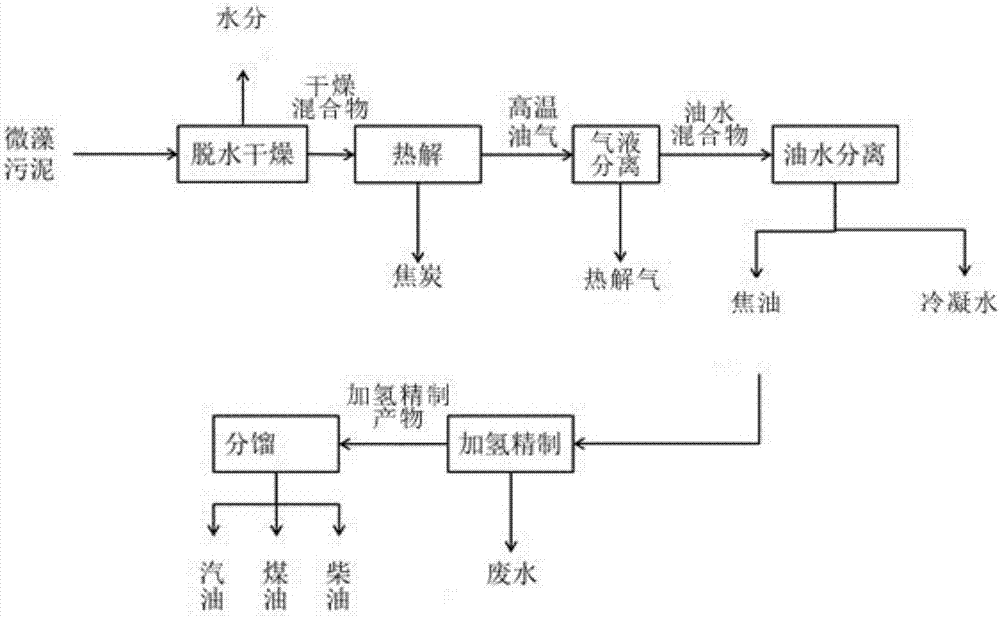 一种微藻生物质和污泥的共热解系统及其方法与流程