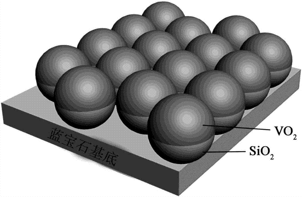 一种二氧化硅纳米球阵列-vo2薄膜复合结构制备方法与流程
