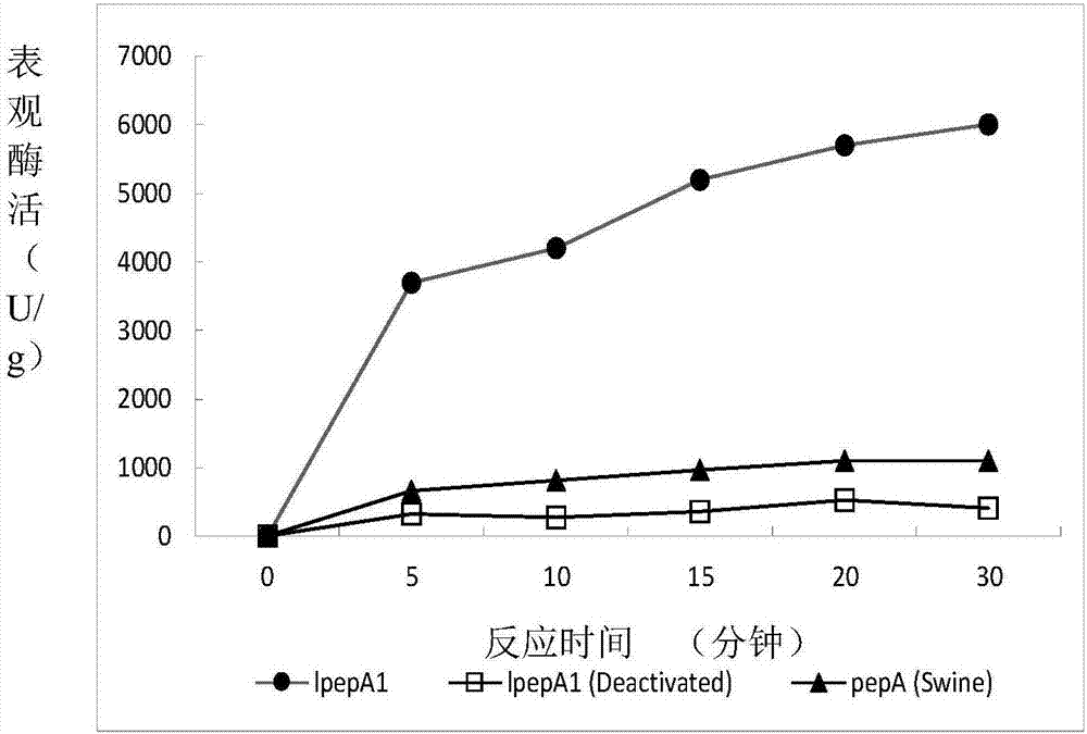 一种低温酸性蛋白酶及其编码基因与应用的制作方法