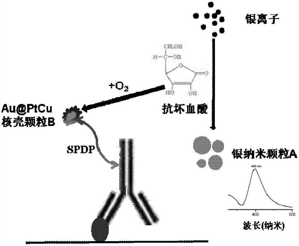 一种新型全等离激元酶联免疫吸附试剂盒及其应用的制作方法