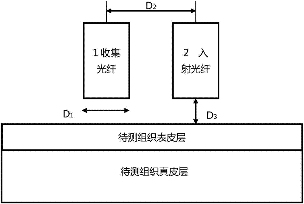 一种用于皮肤组织荧光光谱和后向散射光光谱原位测量的深度敏感光纤探针的制作方法