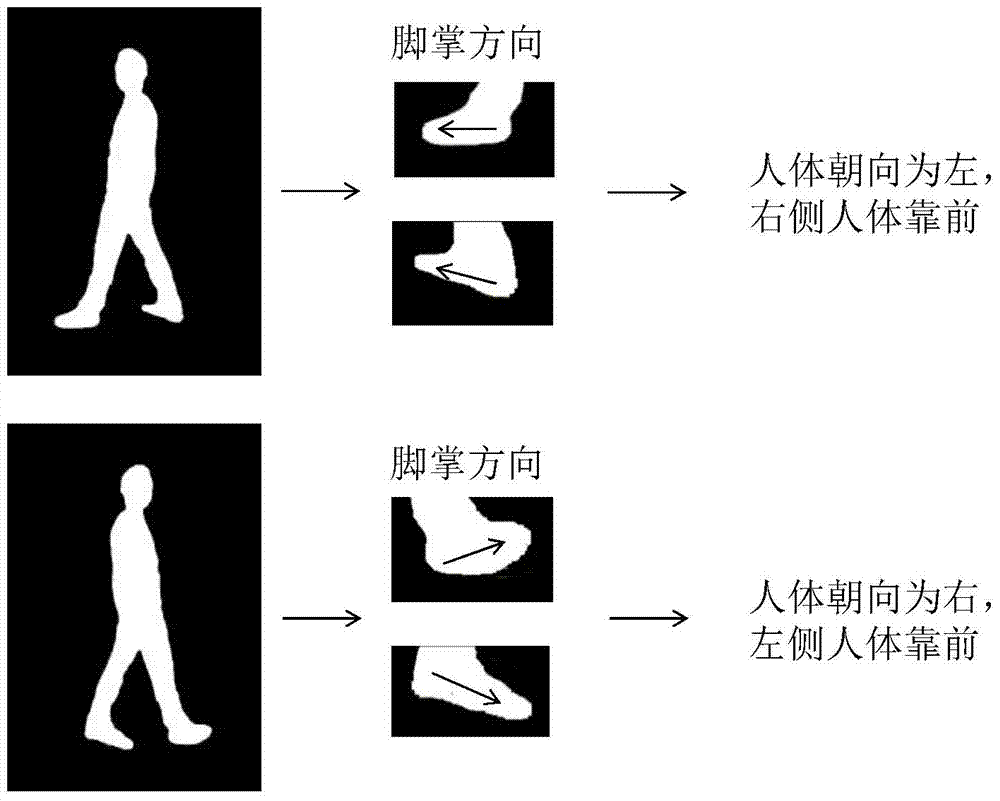 基于二维图像的提取人体侧面腿部骨架的方法与流程