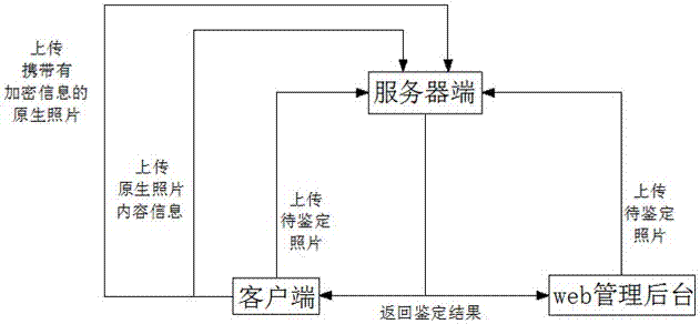 一种原生照片鉴定方法及系统与流程