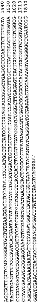 具有分解纤维增强活性的多肽及其编码多核苷酸的制作方法