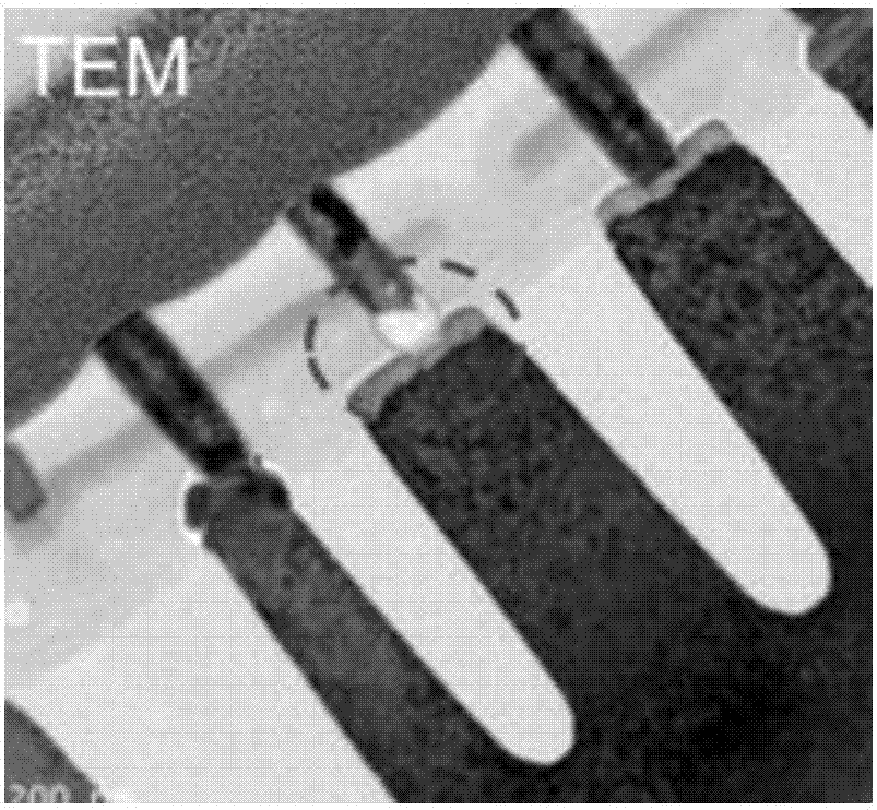 一种接触孔底部钨栓缺陷的检测结构及检测方法与流程