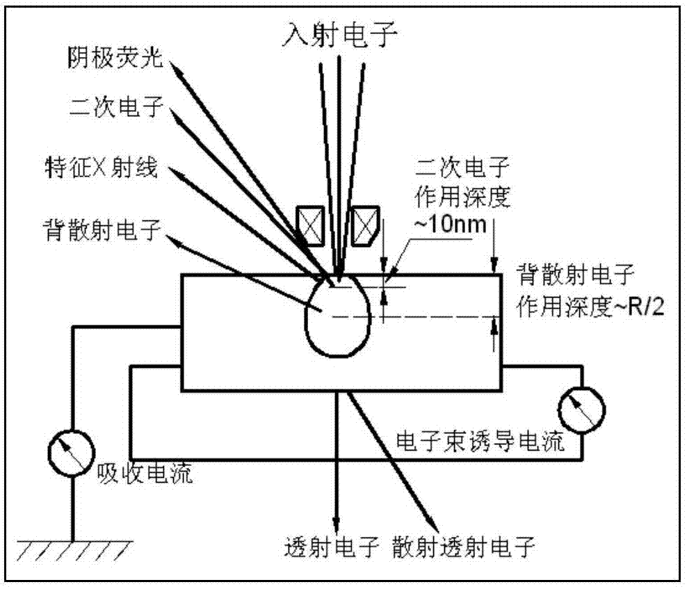 用于生物纳米探针的SEM/ESEM阴极荧光成像方法与流程