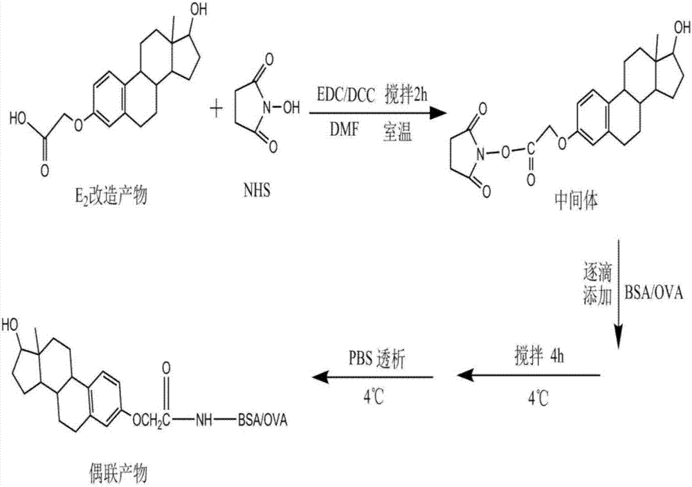 检测雌二醇和/或苯甲酸雌二醇的方法及其所用酶联免疫试剂盒与流程