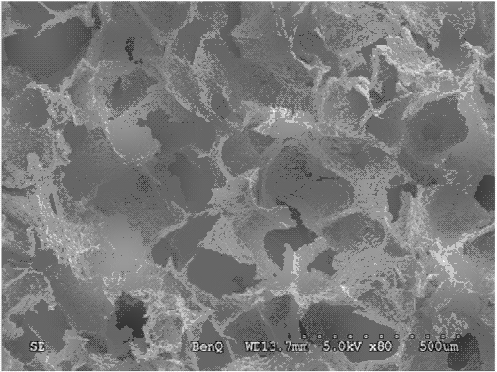 石墨烯/纤维素复合气凝胶及其制造方法与流程