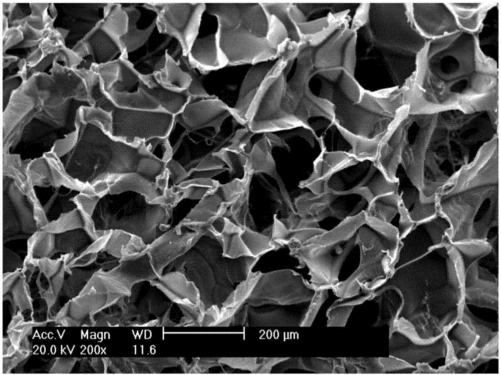 一种负载姜黄素/明胶微球复合物的壳聚糖/丝素蛋白支架、其制备方法及其应用与流程