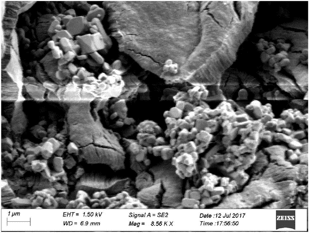 一种牡蛎壳粉氧化铁纳米复合材料的制备方法及应用与流程