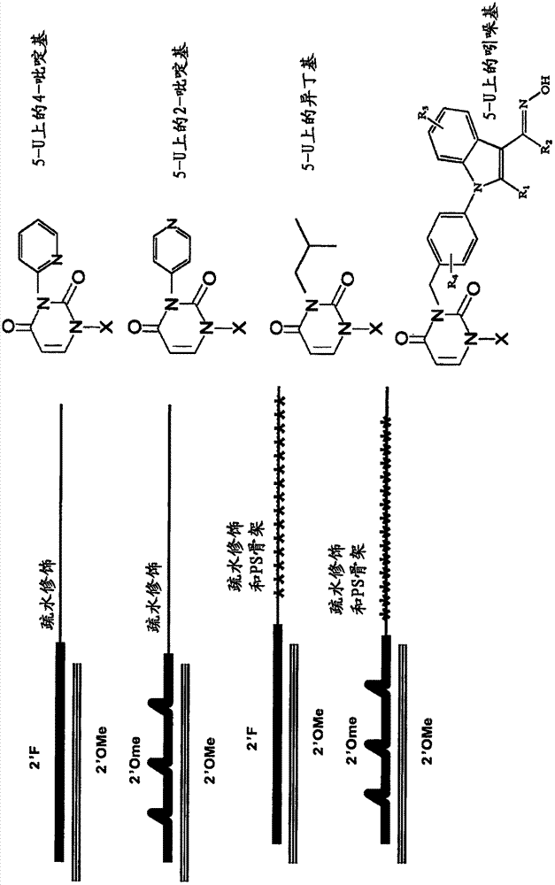 减小大小的自递送RNAi化合物的制作方法