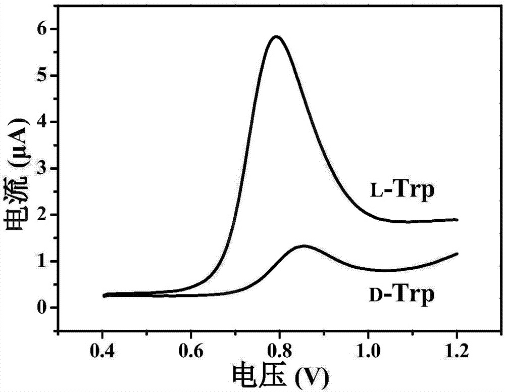 纤维素纳米晶体诱导壳聚糖手性自组装体制备方法及其应用与流程