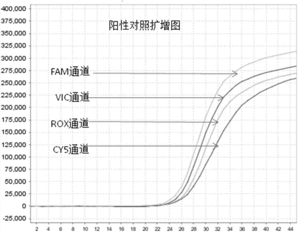 一种检测人乳头瘤病毒的核酸组合及其应用和试剂盒的制作方法