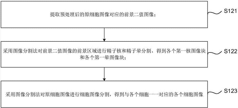 一种精子碎片化率检测方法、装置、设备及可读存储介质与流程