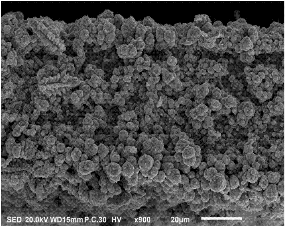 一种钛基锑掺杂的二氧化锡极板中间层的制备方法与流程