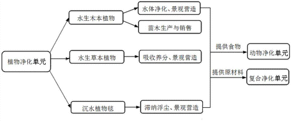 一种园林水体自净化系统的制作方法