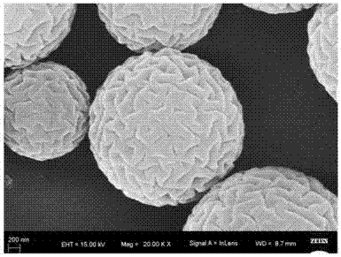 一种表面折皱聚合物粒子的制备方法与流程