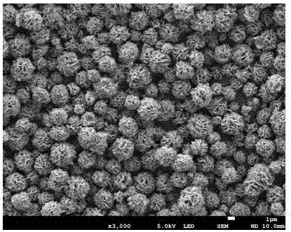 一种硫化锌光催化纳米材料的制备方法与流程