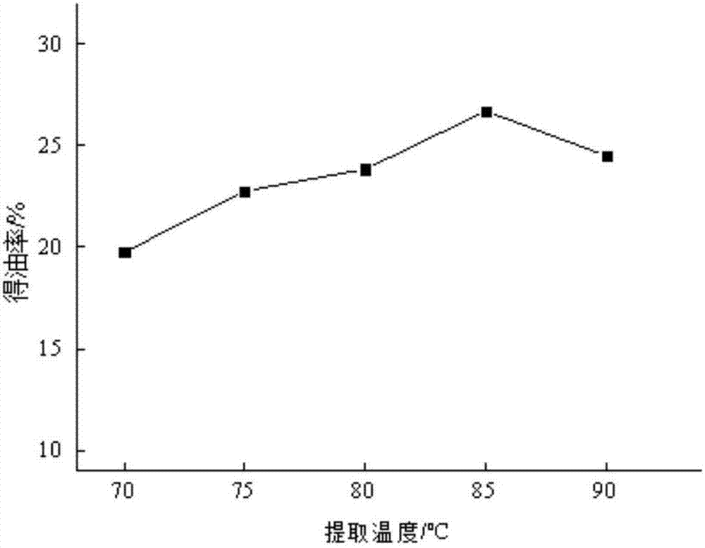 一种提取竹柏果仁油的方法与流程