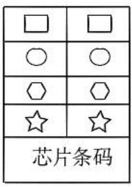 一种人的组蛋白去乙酰化酶突变蛋白及其应用的制作方法