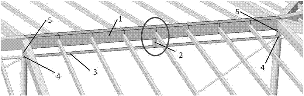 包括檩条(1)和用于连接檩条(1)和刚性屋面索穹顶拉索(3)的撑杆上节点