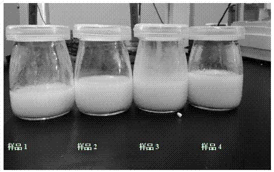 一种营养增效型系列豆芽发酵乳饮料及其制备工艺的制作方法