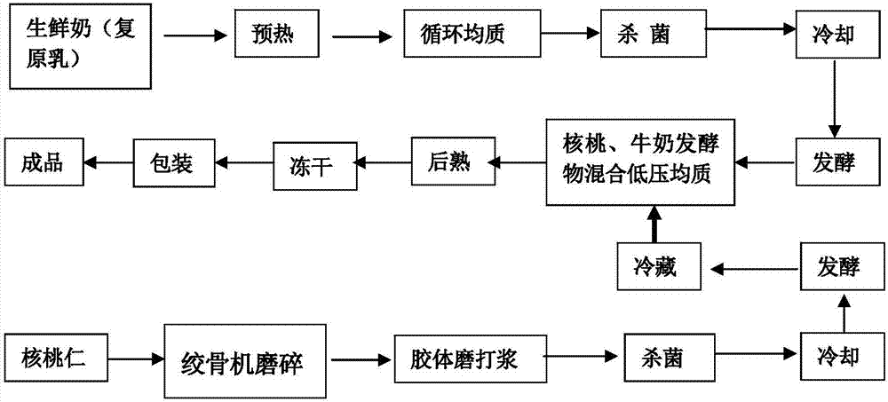 一种核桃平衡蛋白冻干酸奶及其制备方法与流程