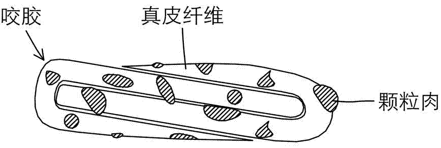 一种嵌颗粒肉咬胶及其制备方法与流程