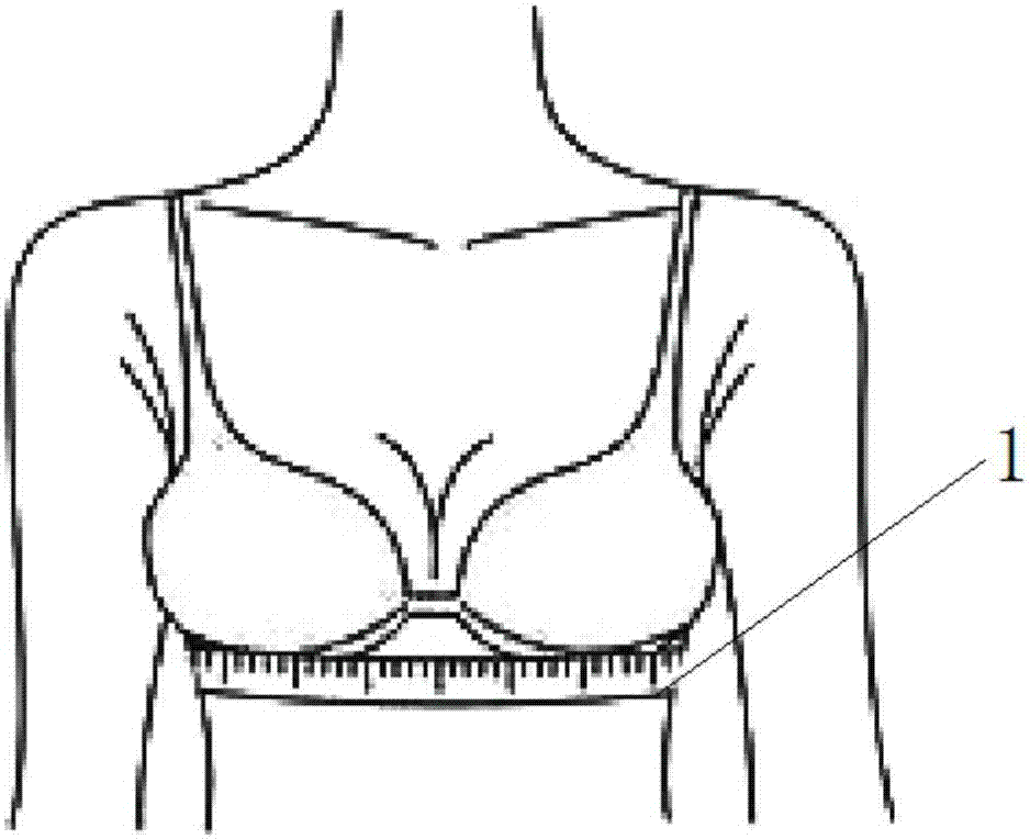 一种让女性更易找到适合自己内衣尺码的标识方法与流程