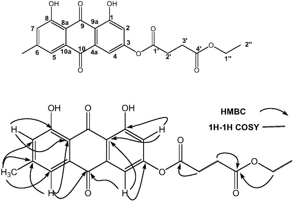 大黄素琥珀酰酯类化合物在制备降血脂药物中的用途的制作方法